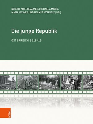 cover image of Die junge Republik